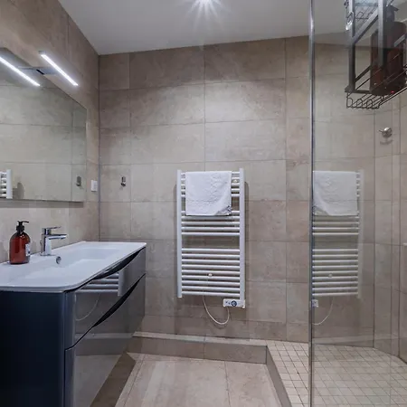 公寓 Panorama Cathedrale - Appt Lumineux Avec Parking Prive 斯特拉斯堡